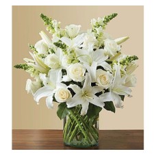Classic All White (Standard)